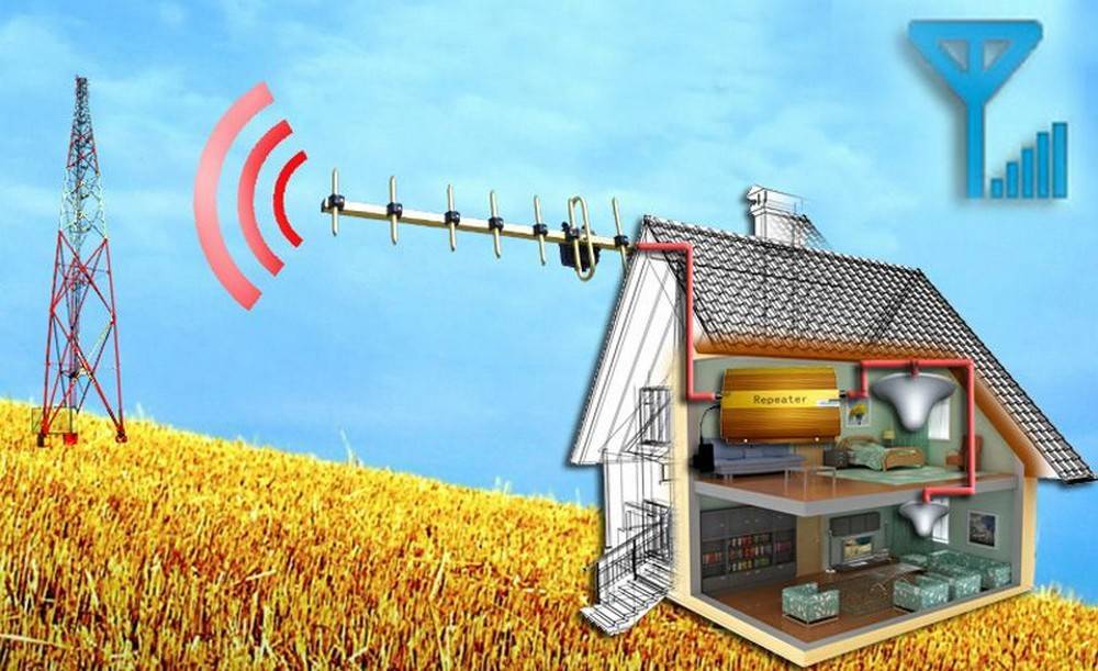 Как усилить сигнал сотовой связи для интернета на даче - rmnt
 - 21 августа
 - 43714708406 - медиаплатформа миртесен