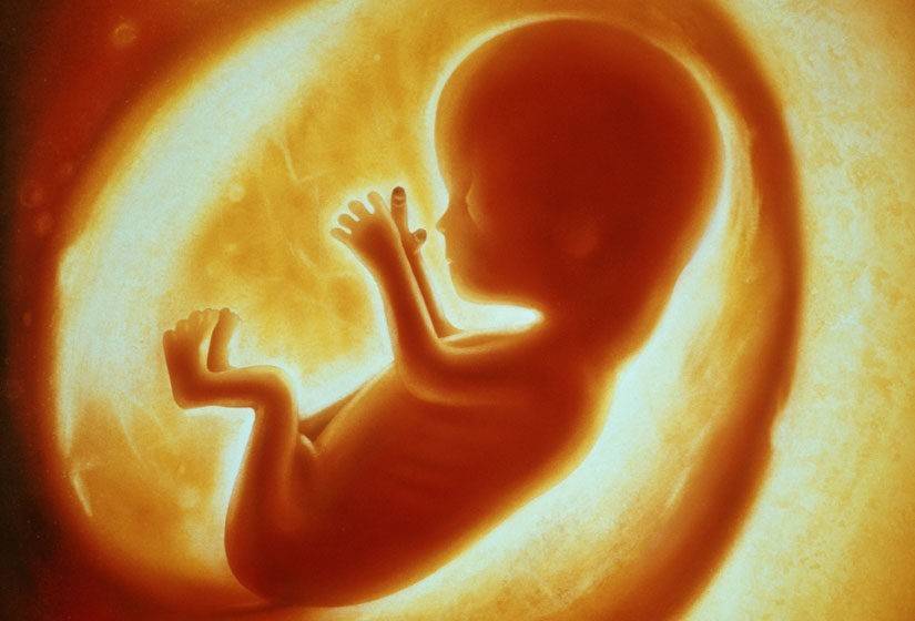 Исцеление ребёнка в утробе матери. статья. биоэнергетика. самопознание.ру