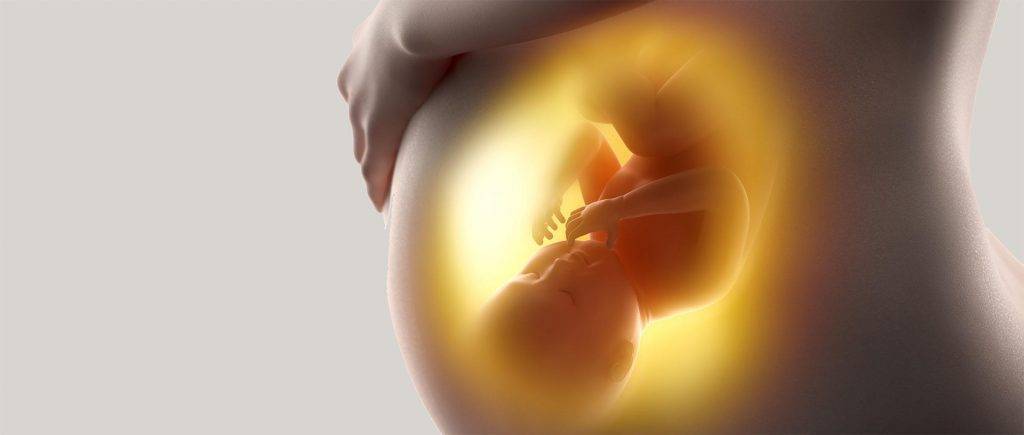 Андрэ бертин: воспитание в утробе матери, или рассказ об упущенных возможностях