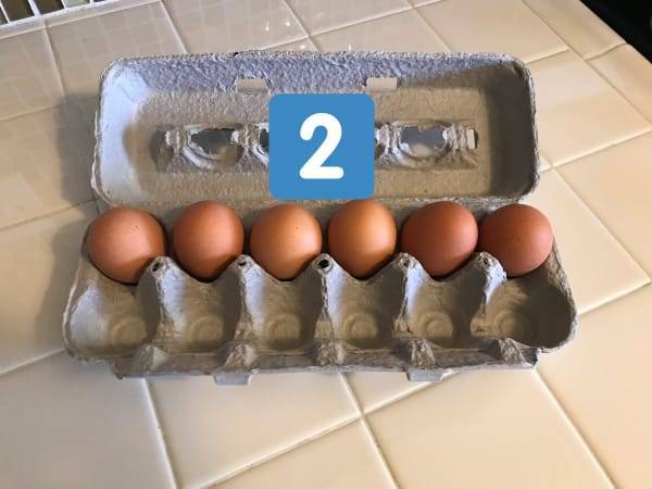 12 способов, как применить лотки для яиц в огороде - своими руками на даче  - сеять, сажать, ухаживать за растениями и цветами