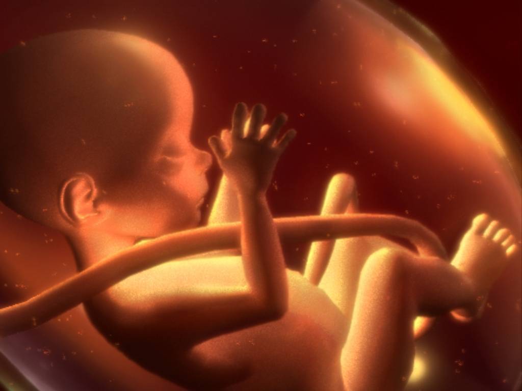 Андрэ бертин: воспитание в утробе матери, или рассказ об упущенных возможностях